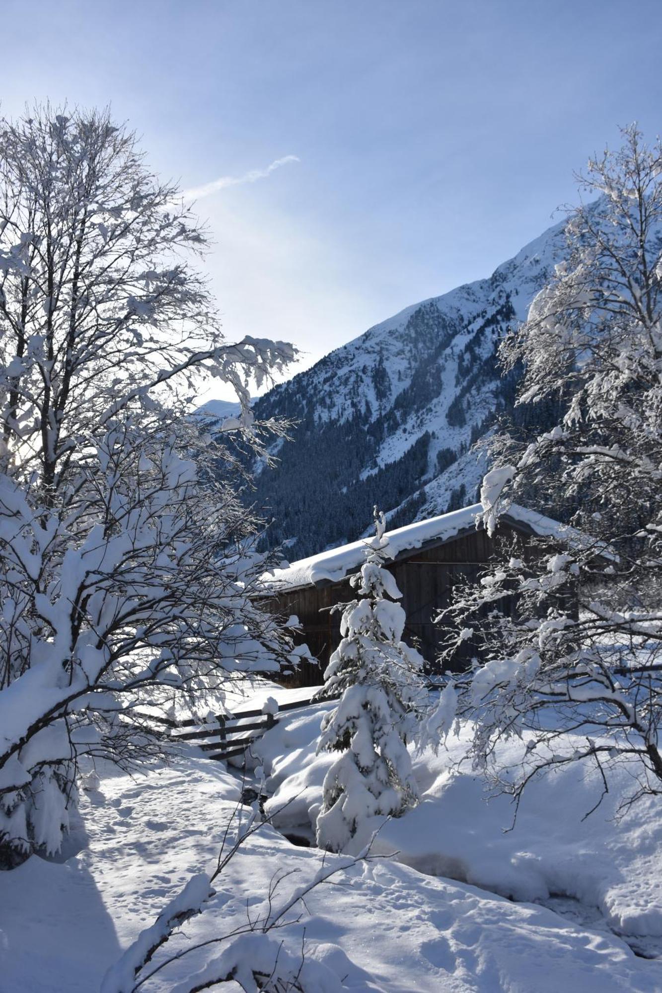 Haus Marco Apartment Neustift im Stubaital Exterior photo